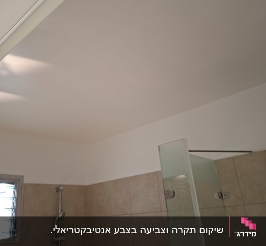 תקרת חדר רחצה מורחת וקיר מקלחון מרוצף אריחי קרמיקה